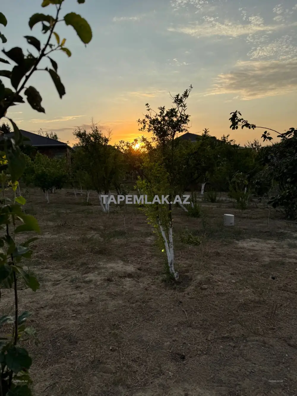 Satılır 12 sot Torpaq - Abşeron